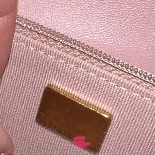 Chanel 19 Wallet on Chain Bag