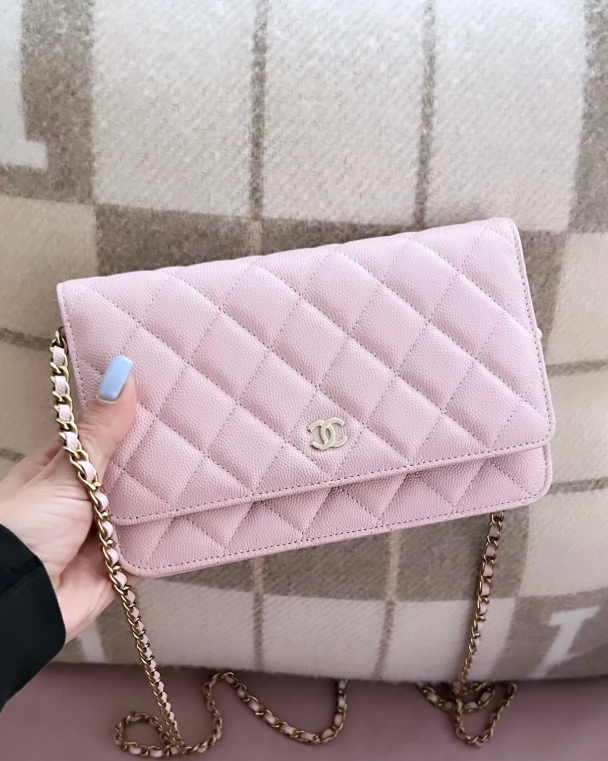 Chanel Wallet On Chain Bag