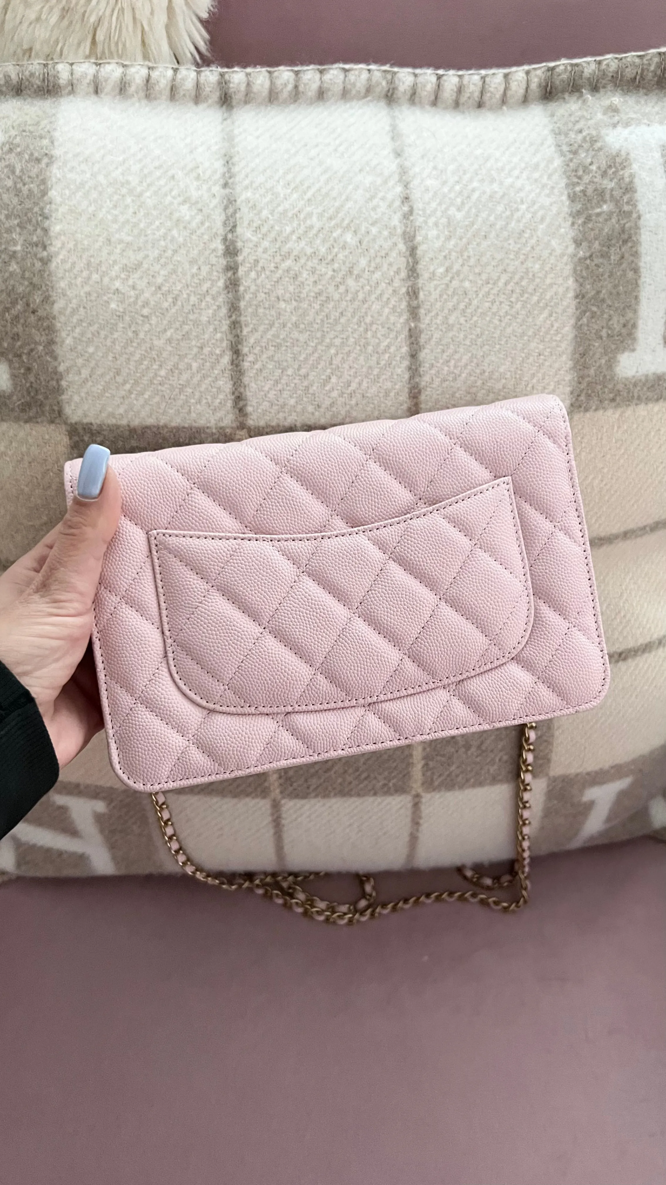 Chanel Wallet On Chain Bag